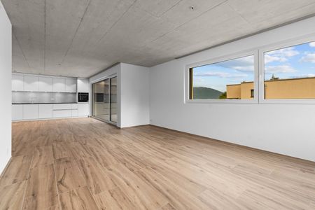 Erstvermietung: Grosse Flächen, wohnen mit viel Raum - Photo 2