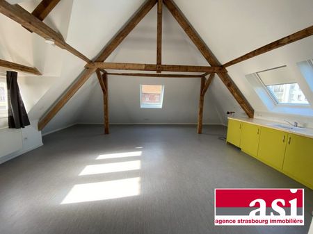 Spacieux 1 pièce type loft avec jardin - Photo 4