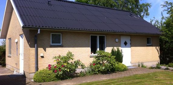 Hjortdal, Abishøje 14 B - Foto 2