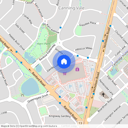 29 Davidia Lake Drive, WA 6155, Canning Vale