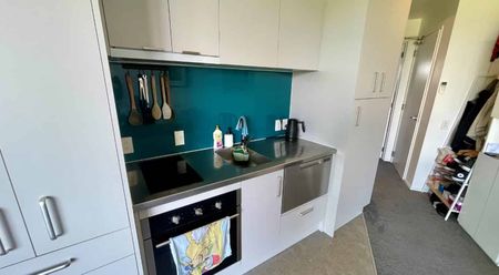 Prime Ponsonby Location! - Photo 3