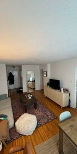 Large pet friendly 1 BED - Photo 3