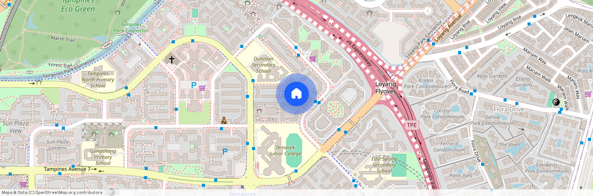 486A Tampines Avenue 9 (520486), Singapore