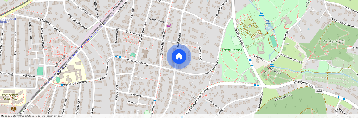 4125, Riehen, Unterm Schellenberg, 127