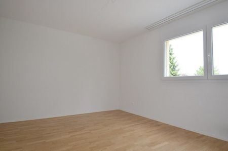 Meine neues Zuhause! - Photo 2