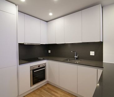 Condo for rent, Montréal (Côte-des-Neiges/Notre-Dame-de-Grâce) - Photo 1