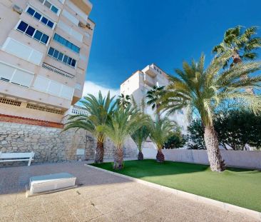 Elche / Elx - Foto 4