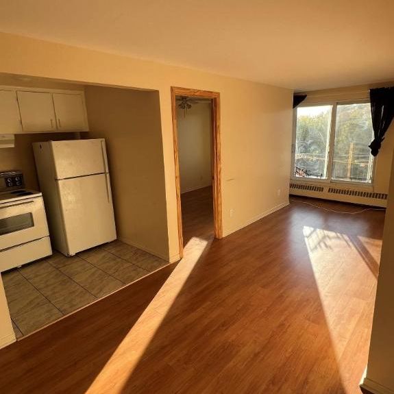 1 CH - 1 SDB - Montréal - $1,146 /mo - Photo 1