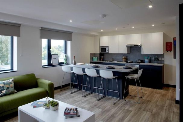 1 bedroom in a flat share to rent - Photo 1