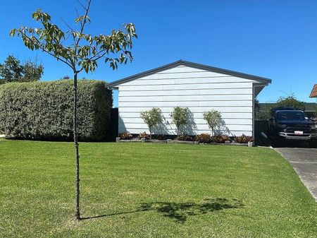 Beautiful and sunny 3BR home with large section! - Photo 5
