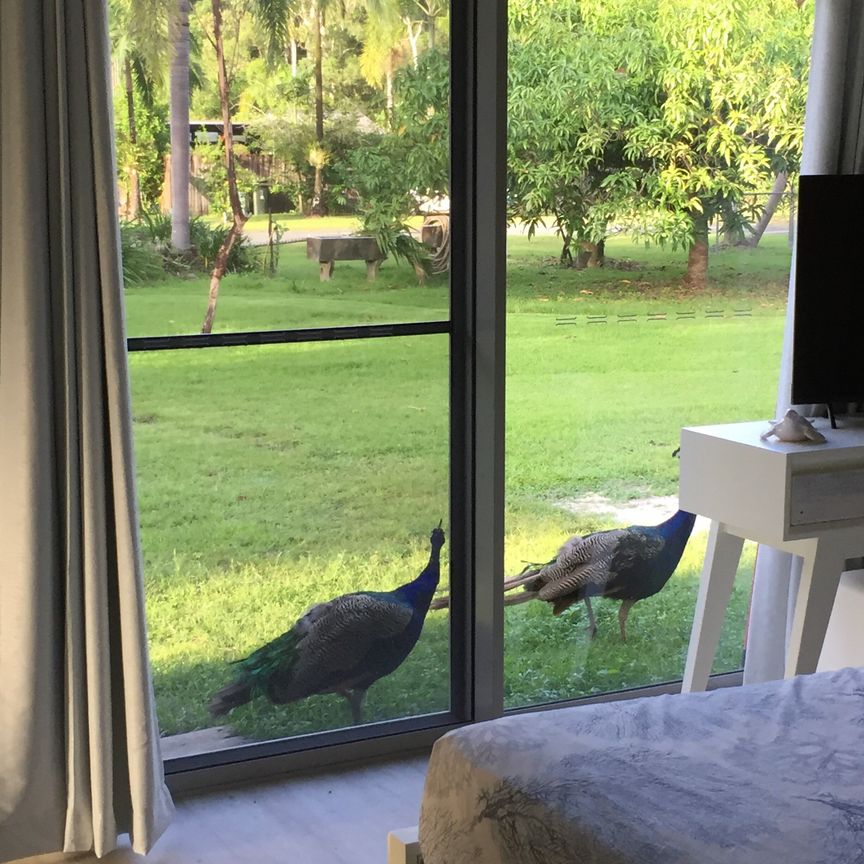 White Rock - Photo 1