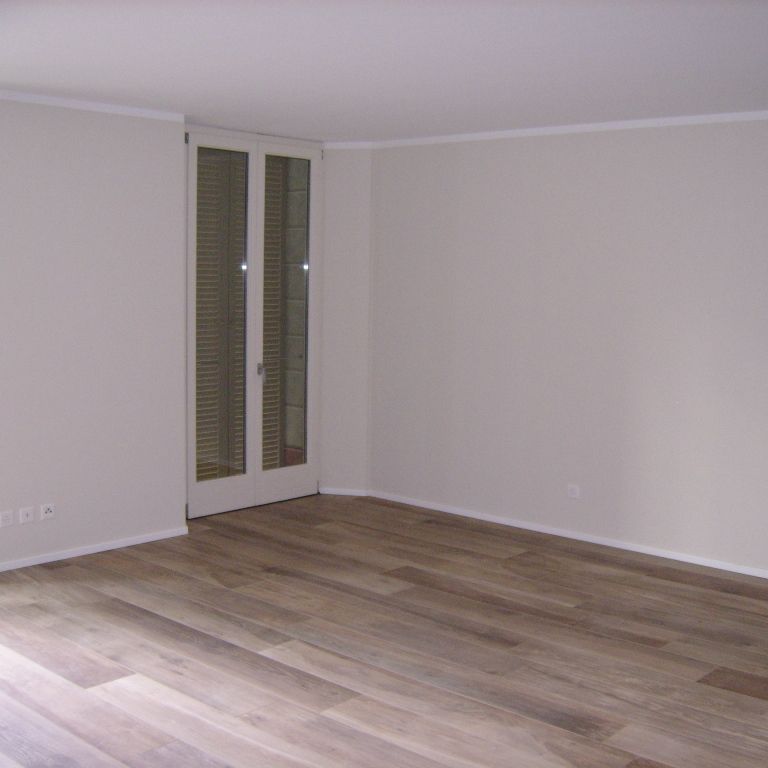 Brusino Arsizio, appartamento con giardino in stupenda casa d'epoca fronte lago totalmente ristrutturata - Foto 1