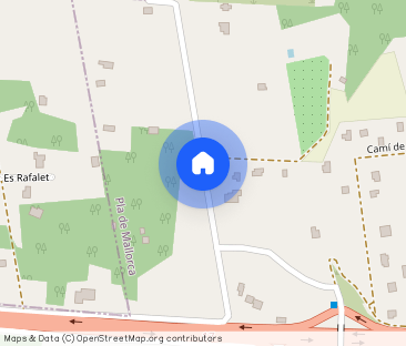 Diseminado Ses Maioles, 361, 07210, Illes Balears, Spain, Algaida, ... - Photo 1