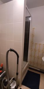 Location Appartement 1 pièce 26m² ANGERS 49000 - Photo 3