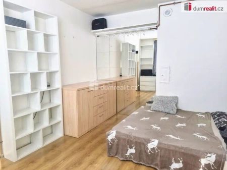 Vybavený byt 1+1 Uherské Hradiště - Fotografie 3