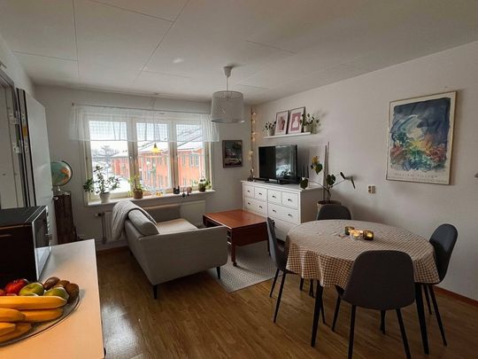 Tärnvägen 8N Studentlägenhet - Photo 1
