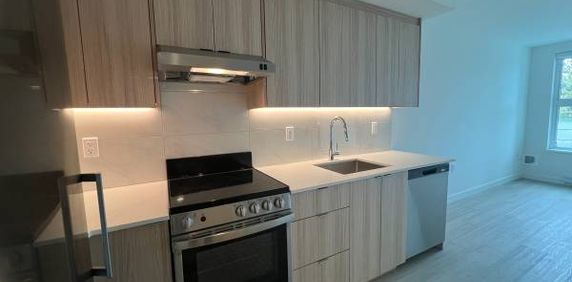 Newly Built Townhouse 3 Bed, 2 Bath, Pet Friendly, Rooftop Lounge - Photo 2