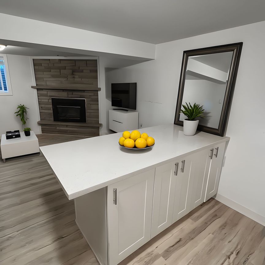 For Lease - 105 Mill Street Unit# Lower, Shelburne, Ontario - Photo 1