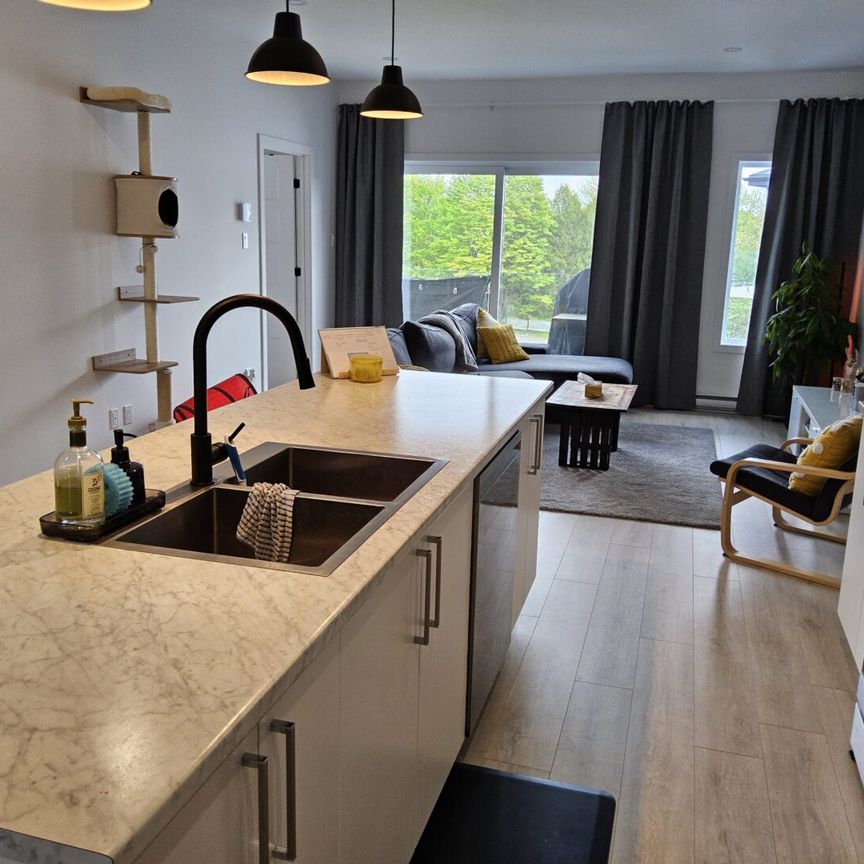 108 place Edmond-Aucoin Saint-Boniface - Photo 1