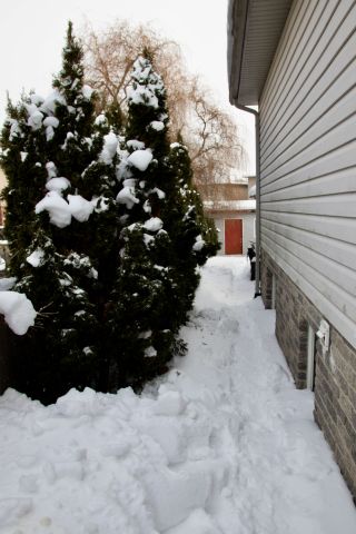 For Lease - 803 Wild Rose Lane, London North, Ontario - Photo 4