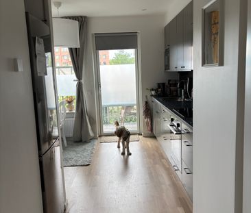 Brunnshögsgatan, Lund - Photo 6