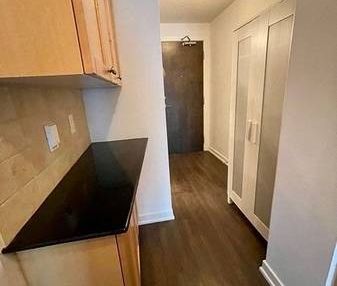 LIBERTY VILLAGE INCREDIBLE VALUE BACHELOR CONDO - Photo 2