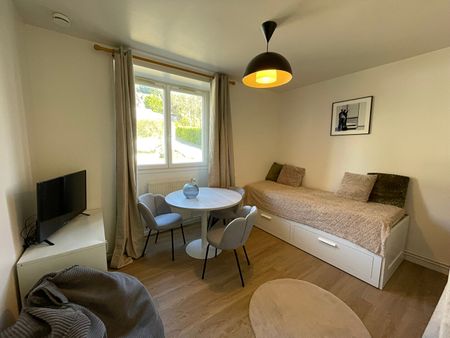 Location Appartement 1 pièce 17m² - Photo 2