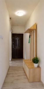 Pet friendly! Garsoniera cocheta, renovata, decomandata, mob - Fotografie 3