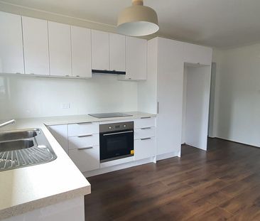 3/39 Currawong Street, Ingleburn NSW 2565 - Villa For Rent | Domain - Photo 1