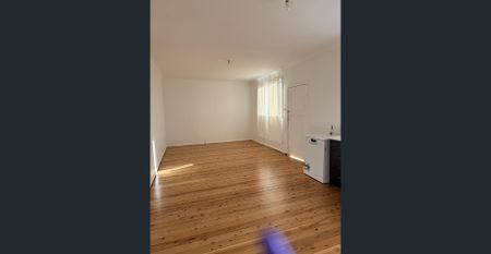 Newly painted House to rent. - Photo 4