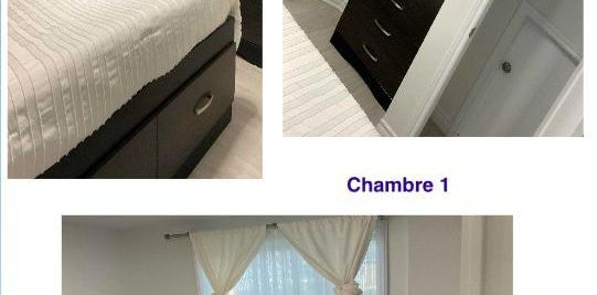 Chambre à louer - Photo 2