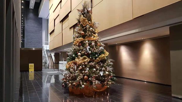 For Lease - 33 Charles Street Unit# 2502, Toronto, Ontario - Photo 1