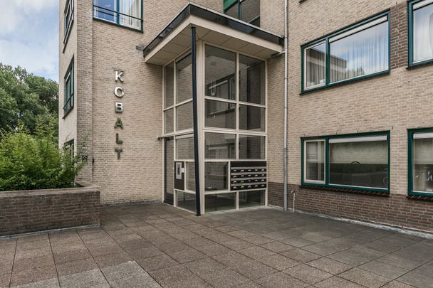 Zuidhaege, 113, Assen - Foto 1