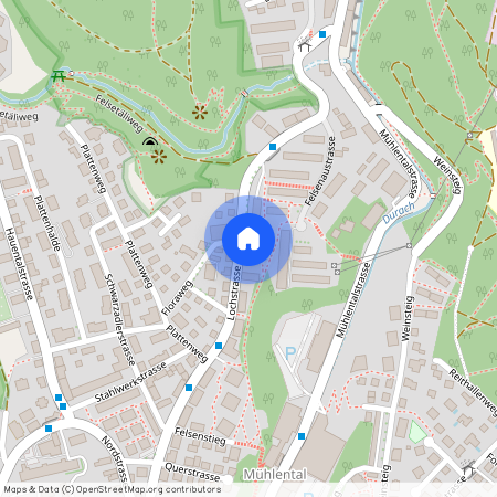 Lochstrasse 56-60, 8200, Schaffhausen