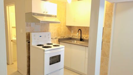 For Lease - 23 Bruce Beer Drive Unit# Basement, Brampton, Ontario - Photo 4