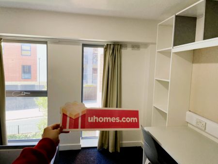 Bronze Studio - Photo 5