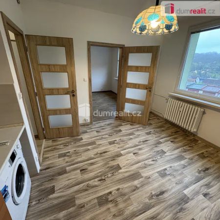 pronájem bytu 1+1, ul. Okružní, obec Jílové u Děčína - Фото 4
