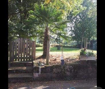 1 bedroom semi-detached house to rent - Photo 2