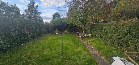 2 Bed - 58 Shaftesbury Avenue (GF), Leeds - LS8 1DT - Student/Professional - Photo 4