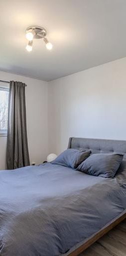 Appartement 4 ½ à louer Lévis juillet 2026 - Photo 1