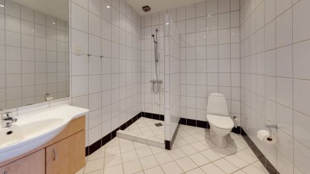 Lys lejlighed med stor rummelig stue i hjertet af Aalborg - Photo 2