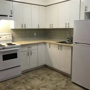 Beautiful renovated pet friendly unit - Photo 2