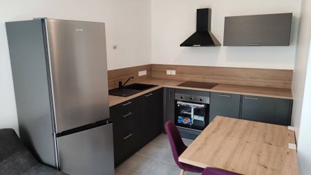 Location appartement 2 pièces 38.79 m² à Valserhône (01200) - Photo 4