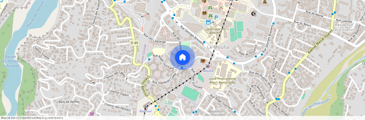3 ALLEE DES OLYMPIADES 97490 SAINTE-CLOTILDE