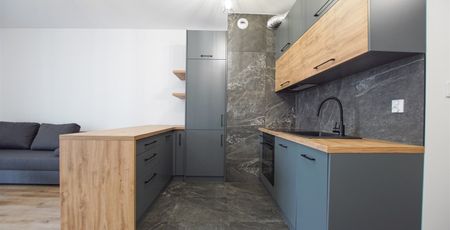 Kraków, Stare Miasto, Prandoty Mieszkanie na wynajem - Zdjęcie 4