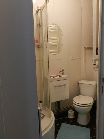 Location Appartement 1 pièce 16m² - Photo 4