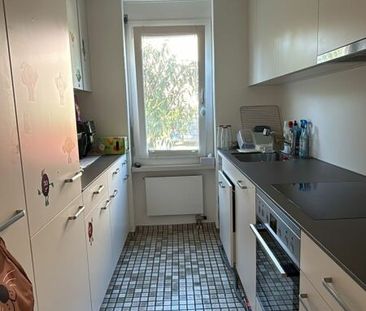 3.5 Zimmer, EG - Photo 3