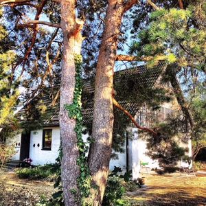 Beckasinvägen, Falsterbo - Foto 2