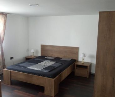 4 -room apartment with renting garden, Copou - USAMV - Photo 4