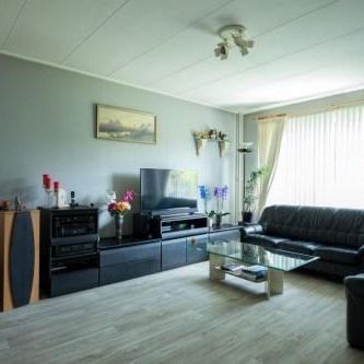 Marco Pololaan, 3526 Utrecht, Nederland - Foto 3